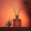 Cocorrína Reed Diffuser - Rose & Tea Leaves 6.76oz Diffuser