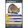 Cats Top Trumps Card Game