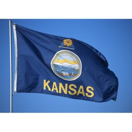 Allied Flag - 3' x 5' Outdoor Nylon Kansas State Flag - Made in USA - Vivid Color and Fade Resistant - Reinforced Hem and Brass Grommets