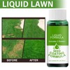 Lawn Liquid Grass Seed Spray Liquid Formula - Quantity: 1
