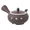 Tokoname Ware tk009 Teapot, Takeharu, Kome, 10.1 fl oz (300