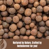 HerbsForever Vidanga Powder | Embelia Ribes | Natural Herbal Supplement