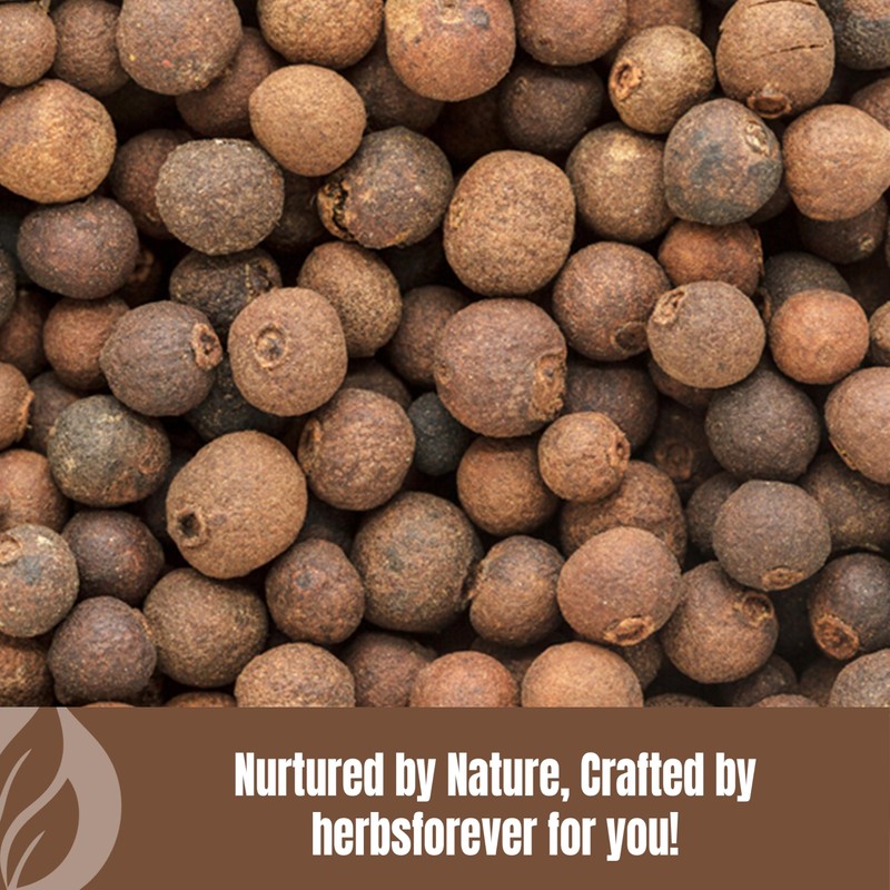 HerbsForever Vidanga Powder | Embelia Ribes | Natural Herbal Supplement