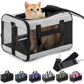Conlun- Transportador para gatos aprobado por aerolíneas, transportador para perros de lados blandos con correa de seguridad interior, transportador