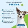 Pet Wellbeing Life Gold for Dogs (4 fl oz (118