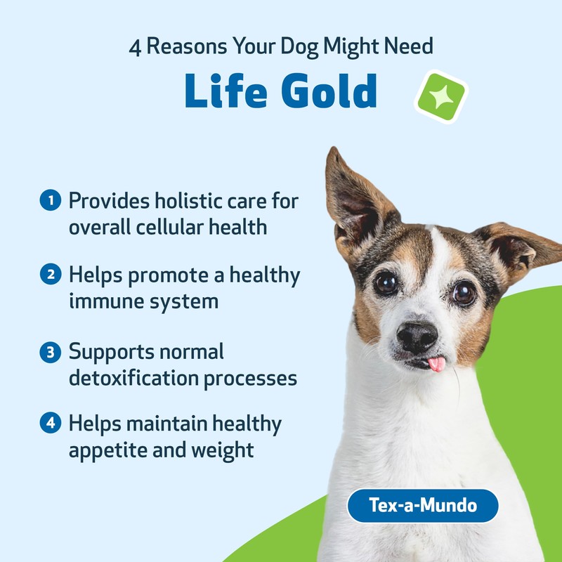 Pet Wellbeing Life Gold for Dogs (4 fl oz (118