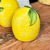 Lemon Salt and Pepper Pots Yellow Ceramic Kitchen Colourful Fruit