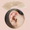 600 Pcs Ear Acupressure Patches with Auricular Point Seeds Sticker 2ea