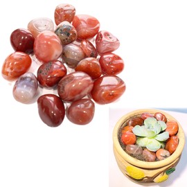 syiyunran Stones Tumbled Stones Pebbles Gemstones Decorative Stones – Red, 100 g, Decorative Gravel Agate Crystal Semi-Precious Stones for Aquarium Planter Treasure Hunting Jewellery Making Decorative