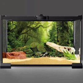 AWERT 48x24 inches Tropical Forest Terrarium Background Stream Green Huge Tree Reptile Habitat Background Foggy Rainforest Aquarium Background Durable Polyester Background