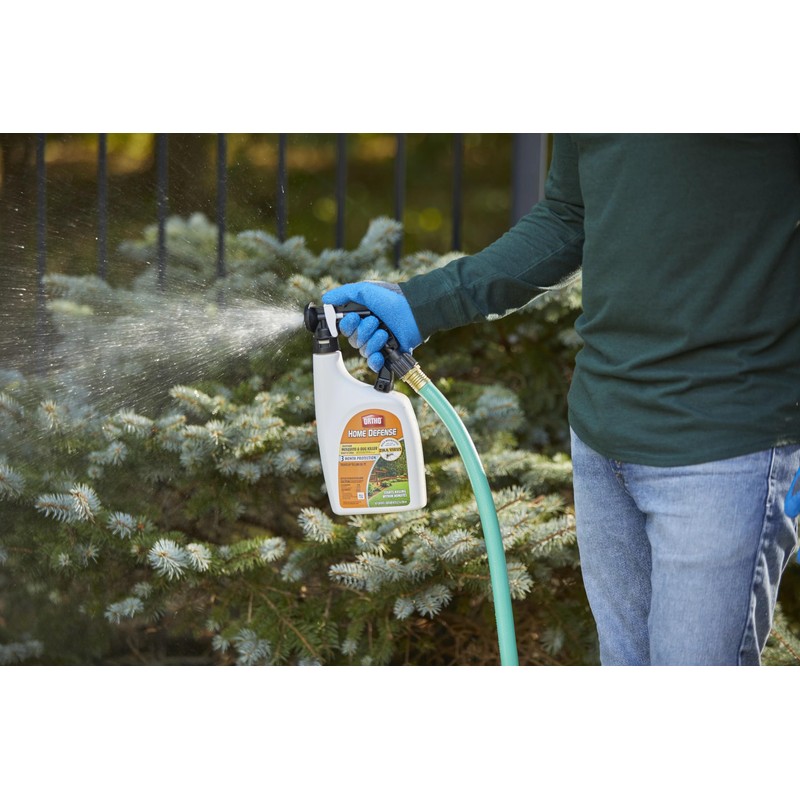 Ortho Home Defense Indoor and Outdoor Bug Killer Spray Bundle,