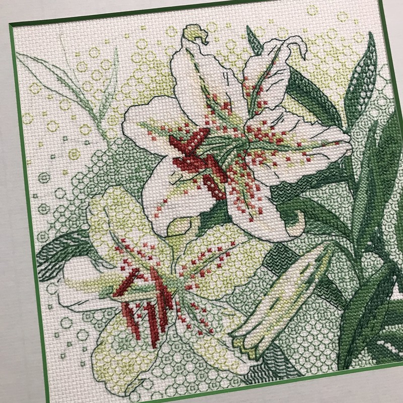 Riolis Blackwork Embroidery Kit, Multicoloured, 20 x 20 cm