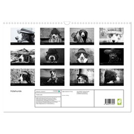 Hütehunde (Wandkalender 2026 DIN A3 quer), CALVENDO Monatskalender