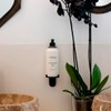 Cereria Molla Lotion Dispenser with Black Orchid & Lily Lotion