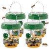 Wasp Traps for Hunting Wasps, Bees, Hornets, Insects, Yellow Jacket
