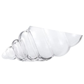 MDLUU Glass Shell Vase, 11-Inch Seashell Potpourri Holder, Large Decorative Conch Bowl for Shell Collection Display, Sea Glass, Air Plant