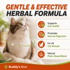 Worm Wood Natural Gut Support for Cats | Herbal Blend