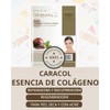 DERMAL Korea 10 Mascarillas Snail con Mucina de Caracol y