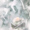 Eye-Catching and Modern Real Natural Duck Egg Blue Feather Decorated