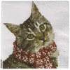 Boston International Weihnachtliche Papierservietten, 20 Stück, Kitty