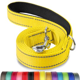 Joytale Dog Lead for Large and Medium Dogs, Double-Sided Reflective Nylon Lead with Padded Handle, 1.5 m x 2.5 cm, Yellow