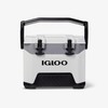 Igloo Heavy-Duty 25 Qt BMX Ice Chest Cooler with Cool