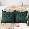 Lewondr Christmas Throw Pillow Cover 20x20, Set of 2 Super