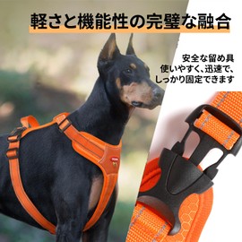 NyyGlykys 犬 ハーネス 中型犬 メッシュ生地 軽量 調節可能 ハーネス 犬 胸あて式 柔らかい 通気性 犬用ハーネス ハンドル付き 小型犬向け 夜間反射材搭載 引っ張り防止 胴輪 犬 小型犬、中型犬、柴犬、秋田犬（オレンジ，M）