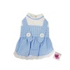 Dorothy (Wizard of Oz) Blue Gingham Dog Dress Costume with