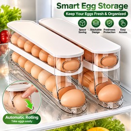 2-Tier Rolling Egg Holder for Refrigerator Organization – Automatic Gravity-Feed Plastic Egg Storage Rack for Fridge & Kitchen