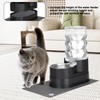 RIZZARI Automatic Cat Water Dispenser: Black 7L Elevated Fountain -