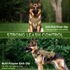 WINSEE Mesh Dog Harness with 10 Pet Patches for Large