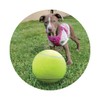 Venteo INCREDIBALL Giant Tennis Ball Dog Toy, 24 cm Diameter