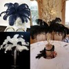 QBilooty 10 Pezzi Piume di Struzzo Decorative, per Abiti, la