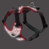 HUNTER Harness Divo Reflect 56-73/M
