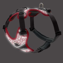 HUNTER Harness Divo Reflect 56-73/M