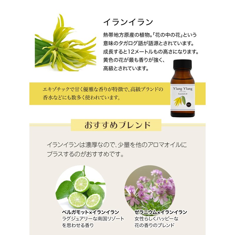 Natural 100% Ylang Ylang Oil 50ml Essential Oil Essential Oil