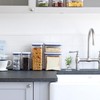 OXO Oxo Plastic Storage Container, Airtight, 16.9 fl oz (0.5