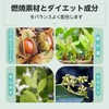 ISDG Sweet習慣 Diet サプリメント ダイエット サプリ 桑の葉末 サラシアエキス ギムネマエキス配合 30日分