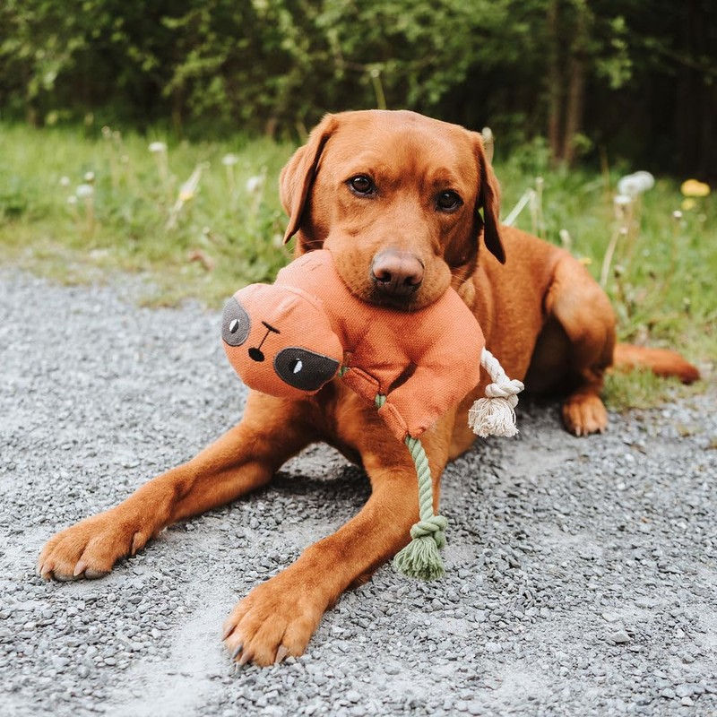 HUNTER Dog Toy Rio Colour Sloth Size 30 cm
