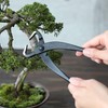 Wazakura Japan Hand Forged Bonsai Trunk Splitter 8.25" (210mm) -