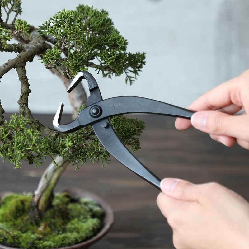 Wazakura Japan Hand Forged Bonsai Trunk Splitter 8.25" (210mm) -