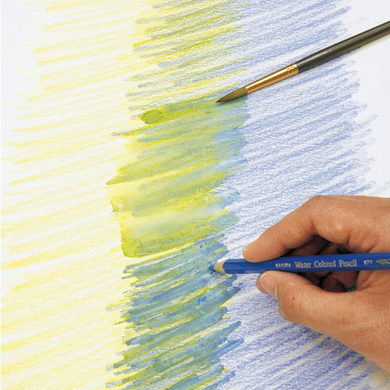 Sakura Crepas Watercolor Pencils, EPY#122 (10), Magenta, 10 Count