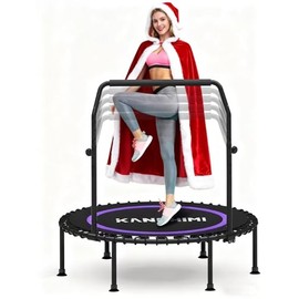 Kanchimi 450/550LBS Mini Rebounder Trampoline for Adults with Bar, 40" /48" Fitness Trampoline Adjustable Foam Handle, Stable&Quiet Exercise Rebounder for Adults Indoor/Outdoor Workout(Purple, 550LBS)