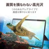 Elecom TB-MSP8FLHSG Surface Pro 8 / Surface Pro X Protective