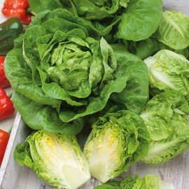Eden Brothers Lettuce Seeds (Organic) - Little Gem