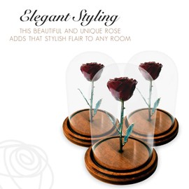 Forever Rose Enchanted Rose, a Genuine, One of a Kind, Real Burgundy Rose, Hand Dipped in Lacquer with a Copper Stem and Leaves, Beauty and The Beast