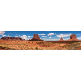 Reptile Habitat Background; Monument Valley Panorama, for 48Lx24Wx24H Terrarium, 3-Sided Wraparound