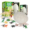 Big Dig！Dino dig kit