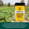 Eden Organic Pumpkin Seeds, Dry Roasted, 4 Oz